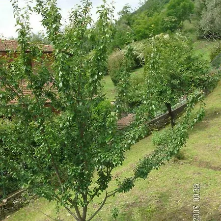 Casa Giulia Brentano ميزّيجرا